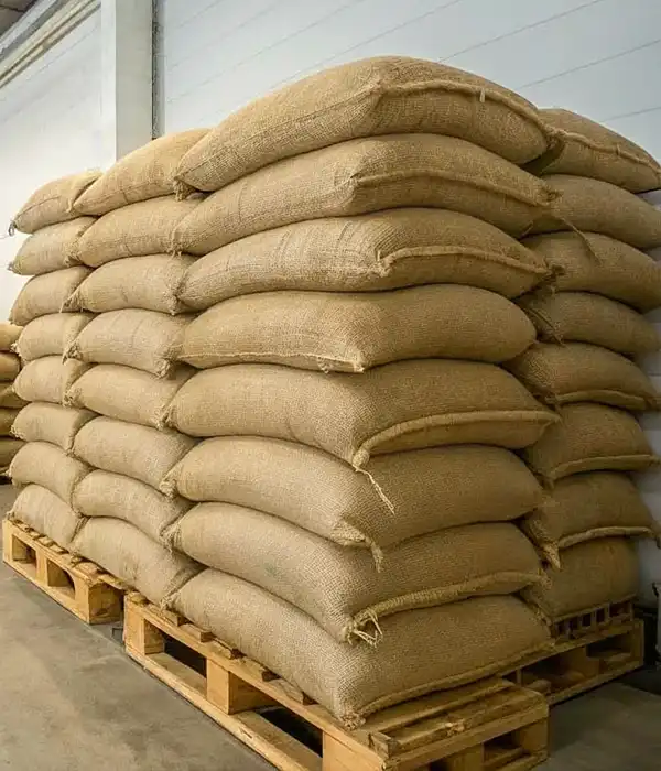 Packing Green Coffee for Export